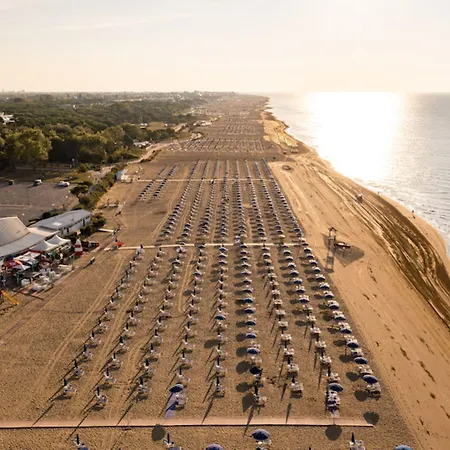 Need For A Perfect * Bibione