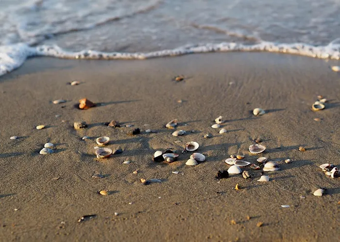 Need For A Perfect 公寓 *